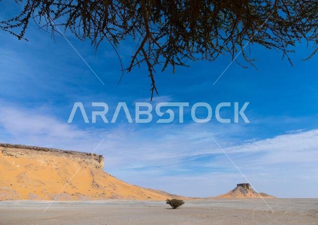 الربع الخالي الربع الخالي من الصحراء، منطقة نجران، خباش، المملكة العربية السعودية الربع الخالي الربع الخالي من الصحراء، منطقة نجران، خباش، المملكة العربية السعودية