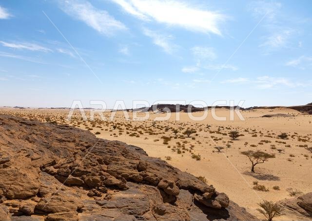 منظر طبيعي جاف في الصحراء، منطقة نجران، ثار، المملكة العربية السعودية