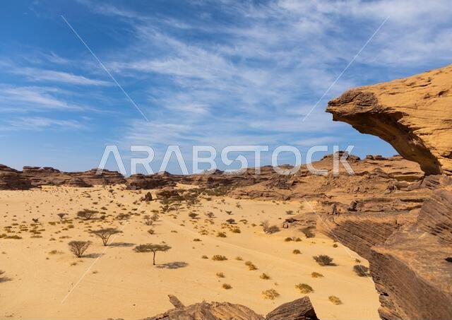 منظر طبيعي جاف في الصحراء، منطقة نجران، ثار، المملكة العربية السعودية