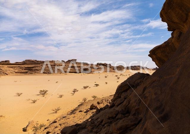 منظر طبيعي جاف في الصحراء، منطقة نجران، ثار، المملكة العربية السعودية