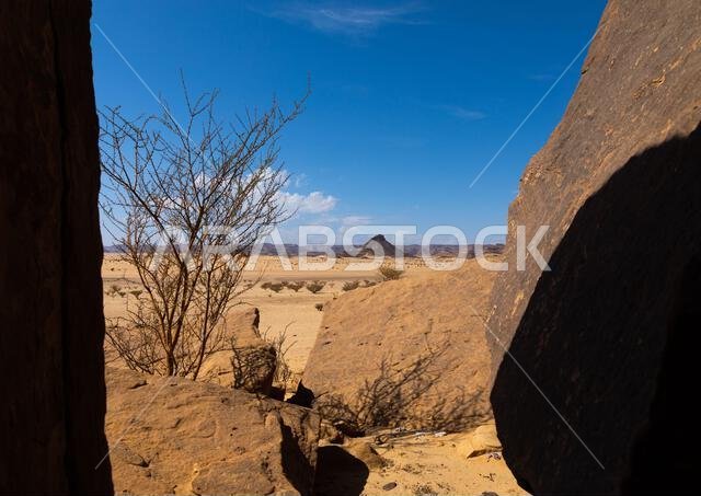 Dry landscape in the desert, Najran Province, Thar, Saudi Arabia