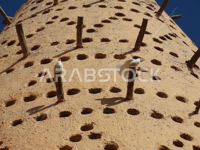 A traditional mud dovecote with some pigeons on it