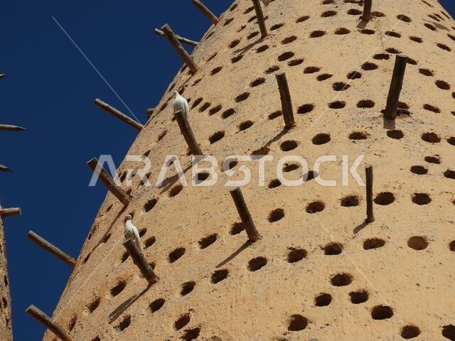 برج حمام طيني تقليدي عليه بعض الحمام