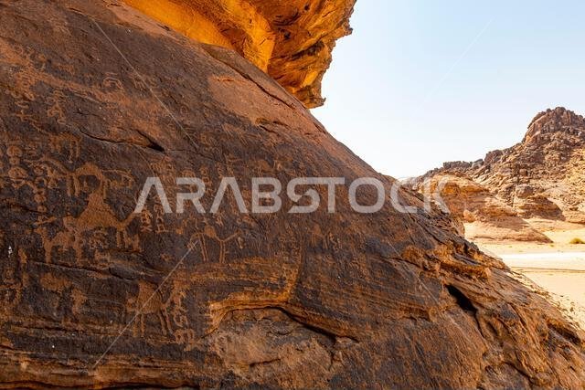 Rock Art in the Ha'il Region, UNESCO World Heritage Site, Jubbah, Kingdom of Saudi Arabia, Middle East