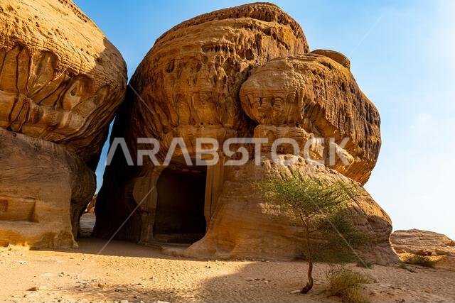 مقبرة صخرية، مدائن صالح (الحجر)، موقع تراث عالمي لليونسكو، العلا، المملكة العربية السعودية، الشرق الأوسط مقبرة صخرية، مدائن صالح (الحجر)، موقع تراث عالمي لليونسكو، العلا، المملكة العربية السعودية، الشرق الأوسط