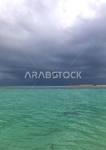 Green sea, Jazan Province, Farasan, Saudi Arabia Green sea, Jazan Province, Farasan, Saudi Arabia