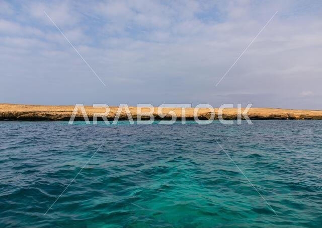 Coral reef in the Red sea, Jazan Province, Farasan, Saudi Arabia