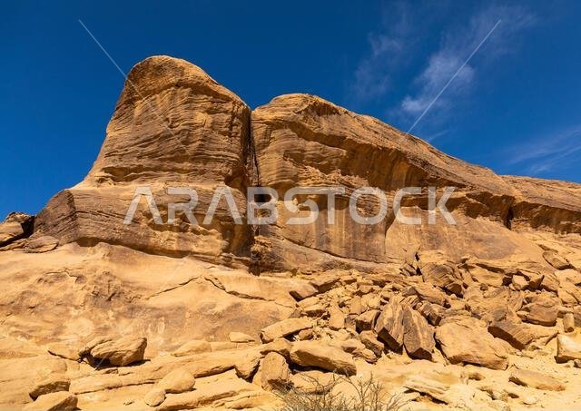 Petroglyphs on a rock depicting animals, Najran Province, Thar, Saudi Arabia
