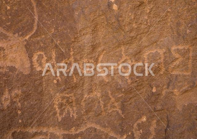 Petroglyphs and Inscriptions on a rock depicting cows, Najran Province, Thar, Saudi Arabia