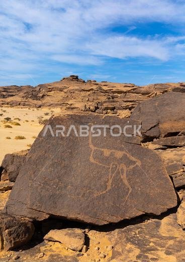 Petroglyphs on a rock depicting an ostrich, Najran Province, Thar, Saudi Arabia Petroglyphs on a rock depicting an ostrich, Najran Province, Thar, Saudi Arabia