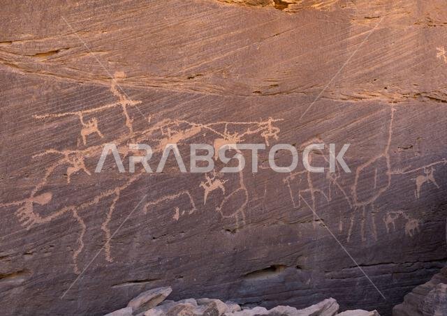 Petroglyphs on a rock depicting ostriches, Najran Province, Thar, Saudi Arabia