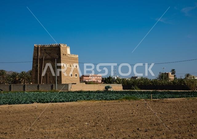 Traditional old mud house with its farm, Najran Province, Najran, Saudi Arabia