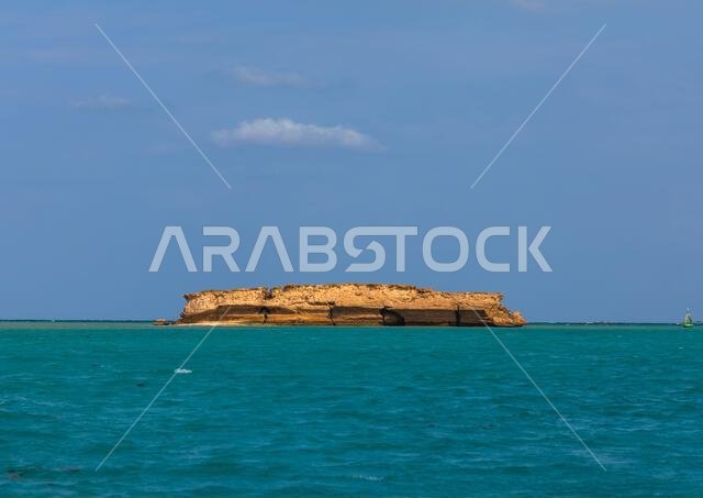 Coral reef in the Red sea, Jazan Province, Farasan, Saudi Arabia Coral reef in the Red sea, Jazan Province, Farasan, Saudi Arabia