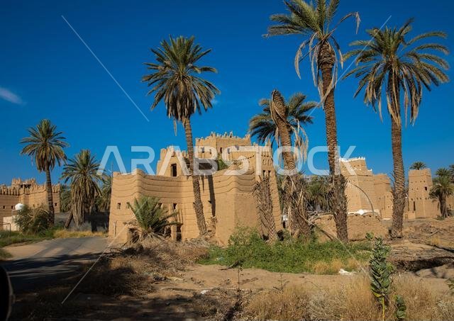 بيوت طينية تقليدية قديمة مزروعة بأشجار النخيل، محافظة نجران، نجران، المملكة العربية السعودية