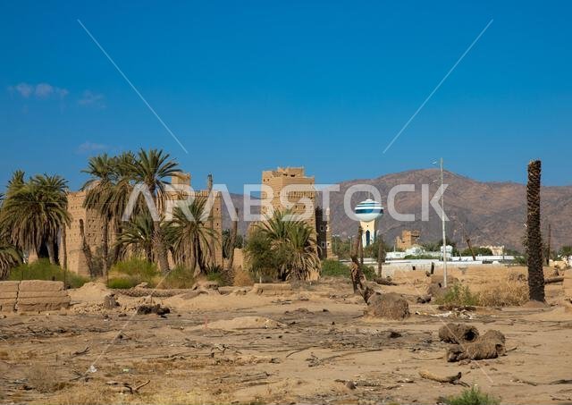بيوت طينية تقليدية قديمة مزروعة بأشجار النخيل، محافظة نجران، نجران، المملكة العربية السعودية