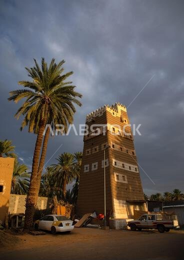بيت طيني تقليدي قديم محاط بأشجار النخيل، محافظة نجران، نجران، المملكة العربية السعودية