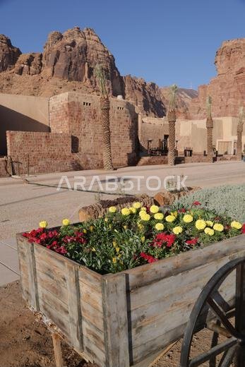 التاريخ القديم في المملكة العربية السعودية القديمة