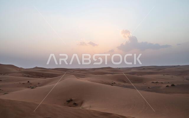 تُعدّ صحراء الربع الخالي، الواقعة في دبي، أكبر صحراء في شبه الجزيرة العربية. وإلى جانب الإمارات العربية المتحدة، تمتد هذه الصحراء على مساحة واسعة من الأراضي.
