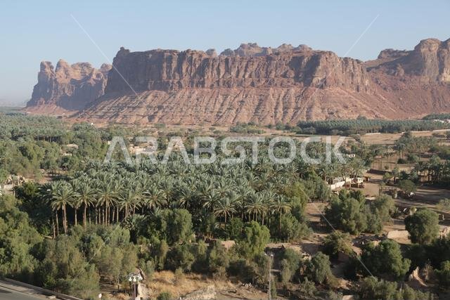 التاريخ القديم في المملكة العربية السعودية القديمة