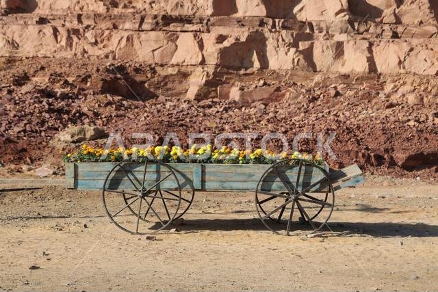 التاريخ القديم في المملكة العربية السعودية القديمة