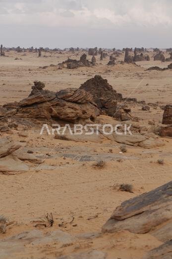 old history in the antique kingdom of saudi arabia