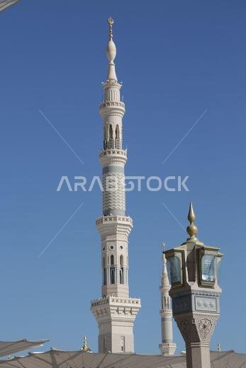 التاريخ القديم في المملكة العربية السعودية القديمة