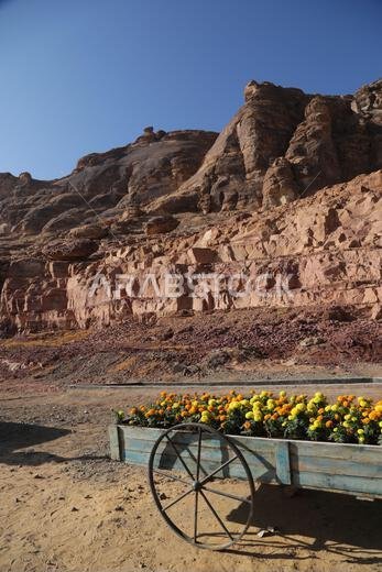 التاريخ القديم في المملكة العربية السعودية القديمة