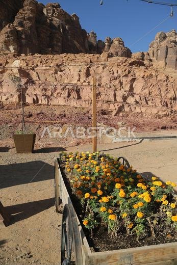 التاريخ القديم في المملكة العربية السعودية القديمة