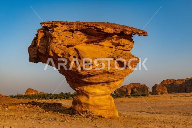 Mushroom rock, Al Ula, Kingdom of Saudi Arabia, Middle East