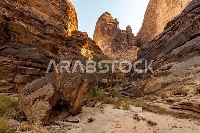 جبل عكمة، أكبر مكتبة مفتوحة في الهواء الطلق، العلا، المملكة العربية السعودية، الشرق الأوسط جبل عكمة، أكبر مكتبة مفتوحة في الهواء الطلق، العلا، المملكة العربية السعودية، الشرق الأوسط