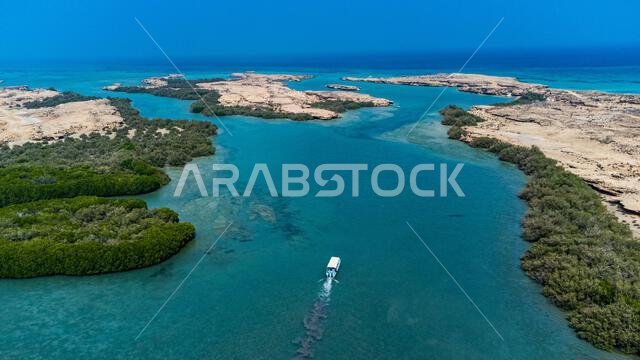 Aerial of the Mangrove forest, Farasan islands, Kingdom of Saudi Arabia, Middle East