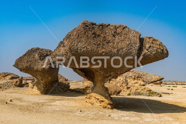 Mushroom rocks, Farasan islands, Kingdom of Saudi Arabia, Middle East