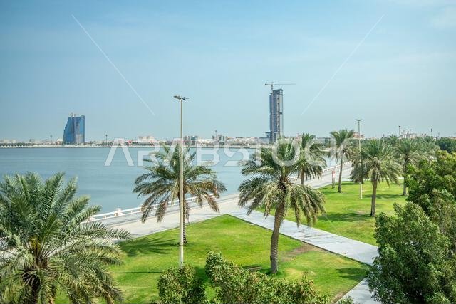 Dammam coastline corniche park with palms and developing city in the background, Saudi Arabia