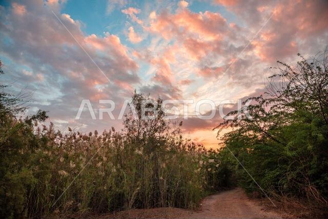 Nature view during sunset at Green Valley of Jeddah, Saudi Arabia