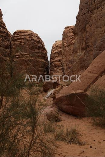 التاريخ القديم في المملكة العربية السعودية العريقة