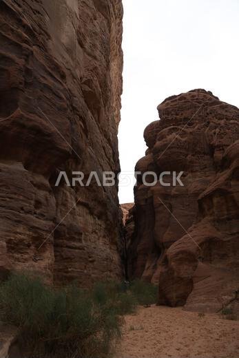 التاريخ القديم في المملكة العربية السعودية العريقة