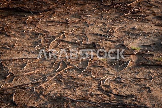 Sunset view from the desert of Saudid Arabia