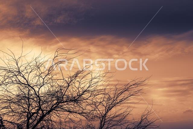 Sunset view from the desert of Saudid Arabia