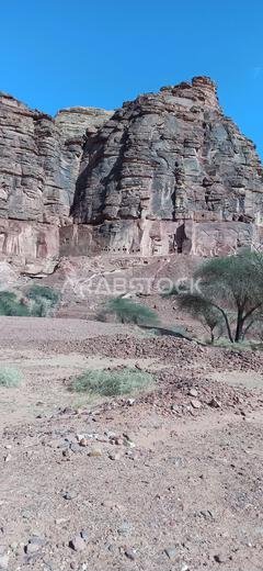 old history in the antique kingdom of saudi arabia