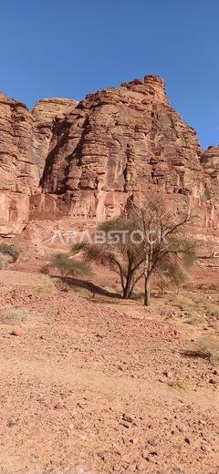old history in the antique kingdom of saudi arabia