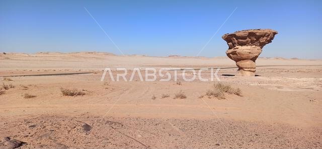التاريخ القديم في المملكة العربية السعودية العريقة