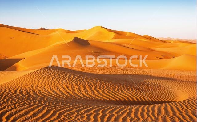 A dune landscape in the Rub al Khali or Empty Quarter. Straddling Oman, Saudi Arabia, the UAE and Yemen, this is the largest sand desert in the world.