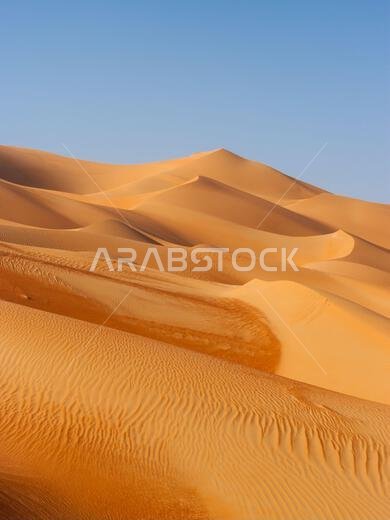 A dune landscape in the Rub al Khali or Empty Quarter. Straddling Oman, Saudi Arabia, the UAE and Yemen, this is the largest sand desert in the world.