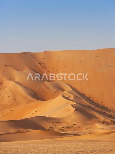 A dune landscape in the Rub al Khali or Empty Quarter. Straddling Oman, Saudi Arabia, the UAE and Yemen, this is the largest sand desert in the world.