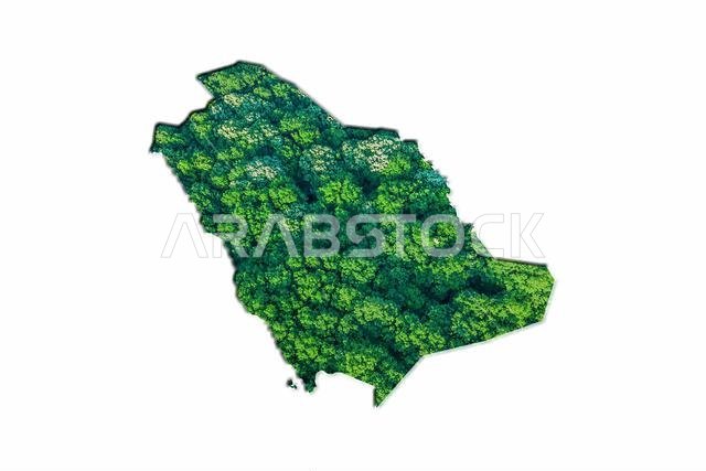 خريطة الغابات الخضراء في المملكة العربية السعودية، على خلفية بيضاء