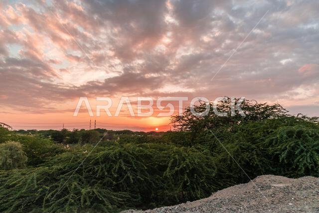 Nature view during sunset at Green Valley of Jeddah, Saudi Arabia