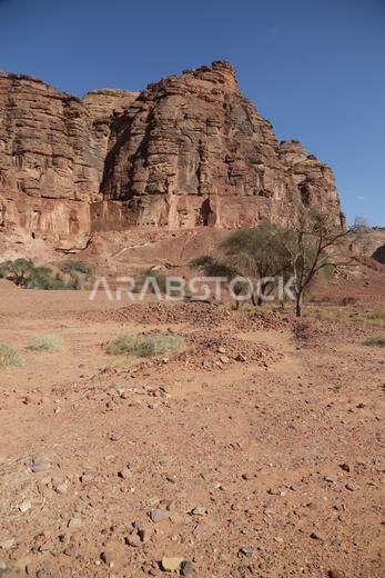 التاريخ القديم في المملكة العربية السعودية العريقة التاريخ القديم في المملكة العربية السعودية العريقة
