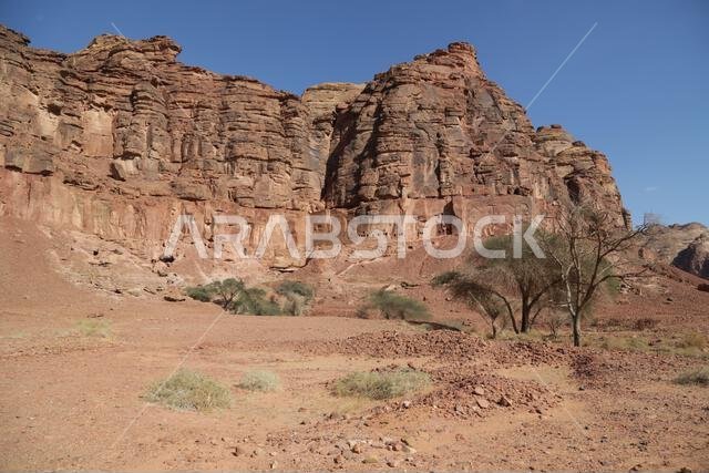 التاريخ القديم في المملكة العربية السعودية العريقة