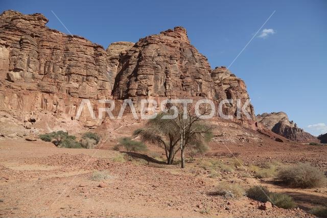 التاريخ القديم في المملكة العربية السعودية العريقة