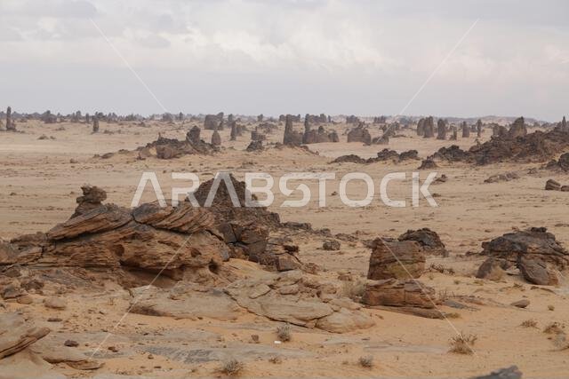 التاريخ القديم في المملكة العربية السعودية العريقة
